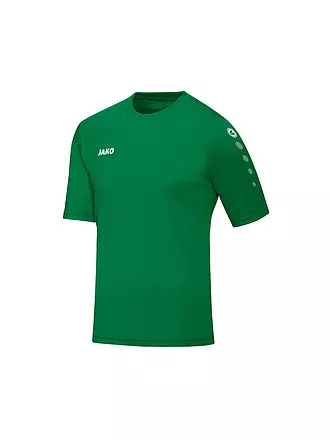 JAKO | Camiseta de equipo para niños | grün
